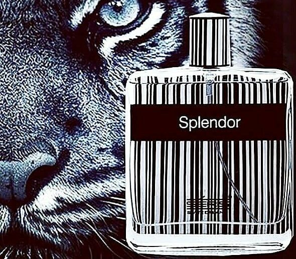 Seris Splendor Perfume for Unisex – 100ml 