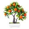 Beautiful Fruit Bonsai Tree For Gift