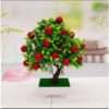 Beautiful Fruit Bonsai Tree For Gift