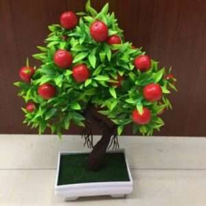 Beautiful Fruit Bonsai Tree For Gift