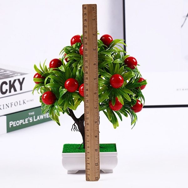 Beautiful Fruit Bonsai Tree For Gift 